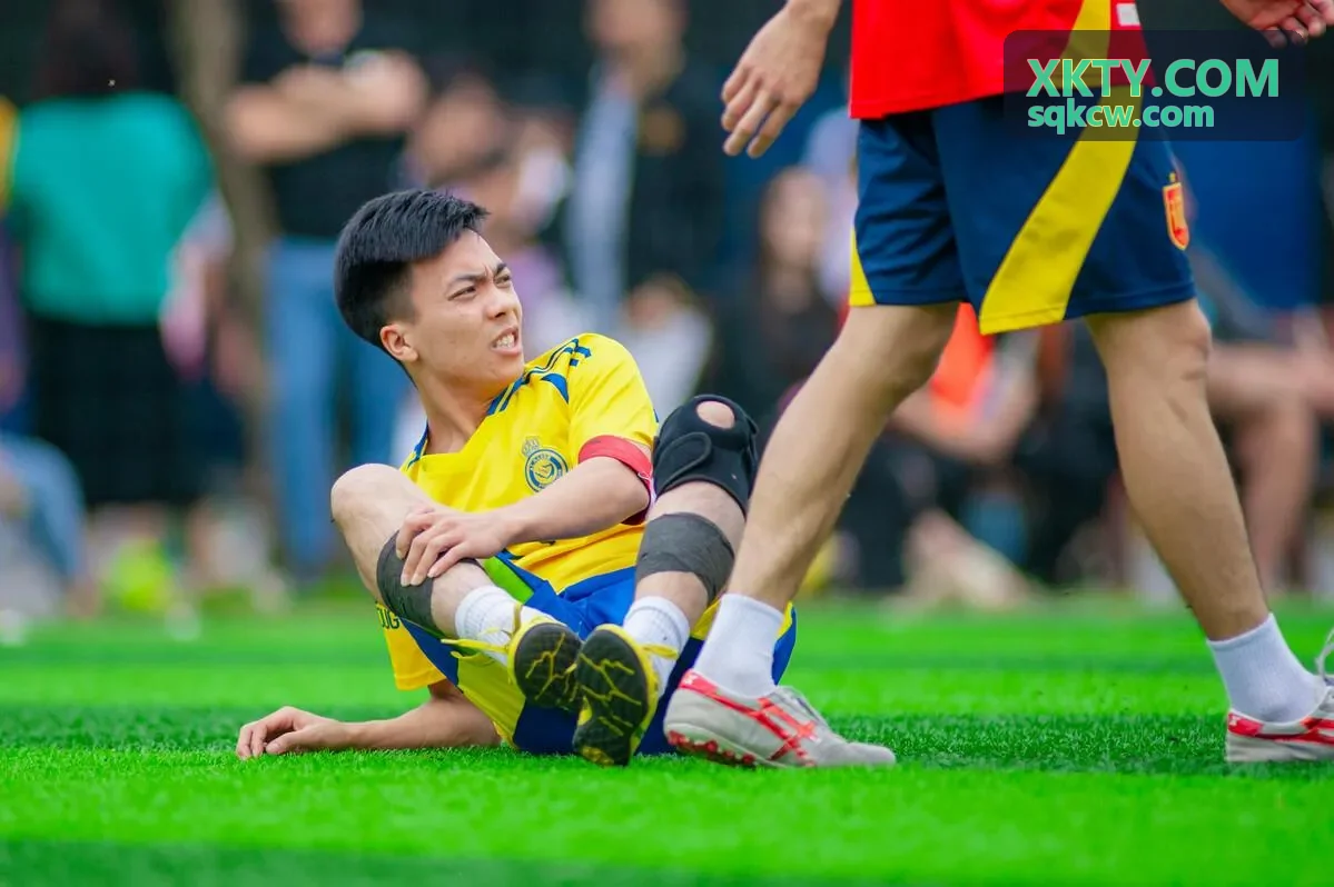 XKTY 资本效率优化